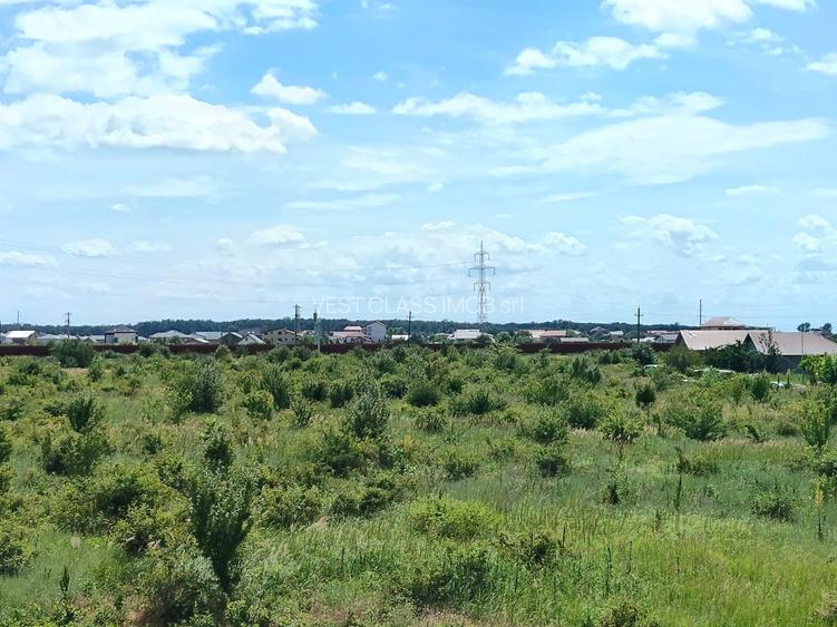 Teren intravilan,orasul Pantelimon,strada Plantelor si Gradinarilor - 10