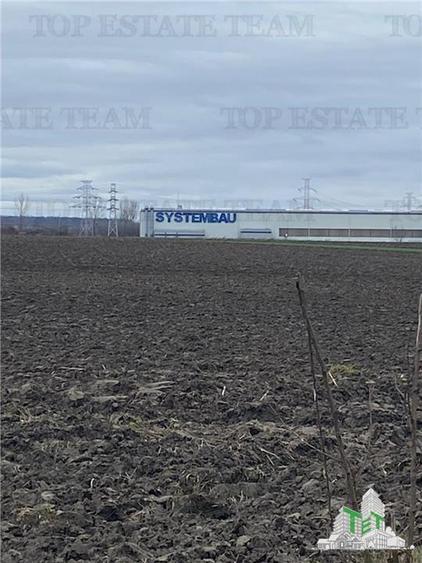 Teren Extravilan 10.000 mp in Prahova