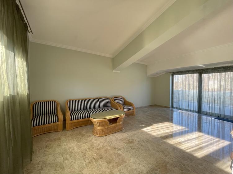 Vila Parc Bazilescu-Oportunitate investitie