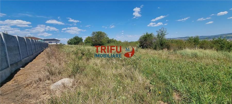 Teren intravilan construibil 706 mp zona Podei
