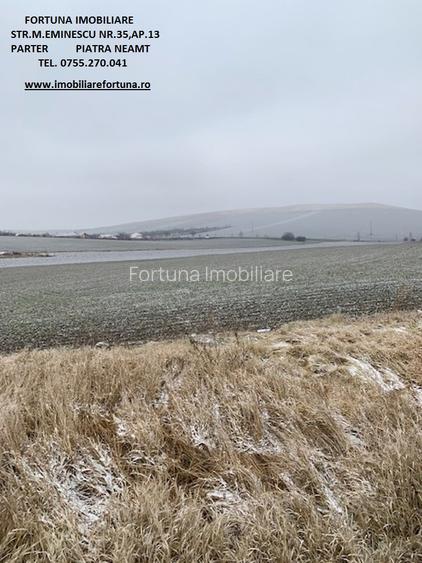 Teren zona Spital nou, punct "Dl.Lung" - 2