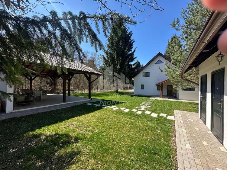 Pensiune/ Vila Valea Avrigului