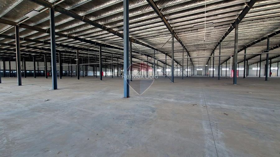 COMPLEX INDUSTRIAL & COMERCIAL PREMIUM | ILFOV