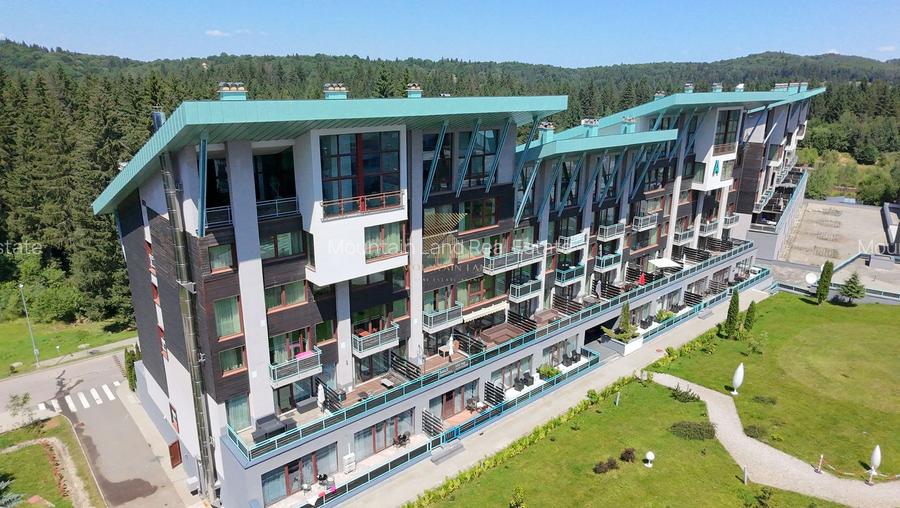 Apartament tip loft cu șemineu, situat în Silver Mountain Resort - 13