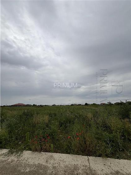 Teren- Mosnita Noua- Toate utilitatile+ strada betonata - 2