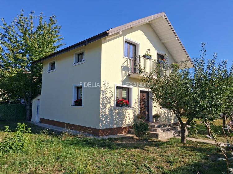 Vila de vanzare Valea Lupului