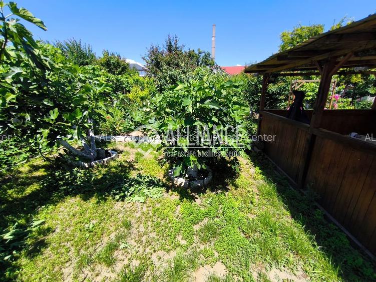VIILE NOI - casa cu o curte generoasa disponibila imediat - 17