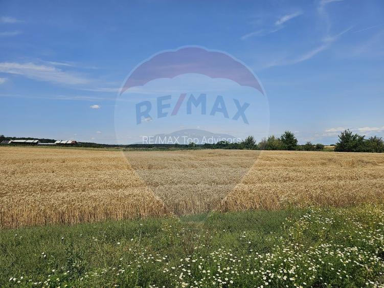 Vanzare Teren Intravilan Buftea, 750mp, str. Ulmului, Pista Biciclete - 2