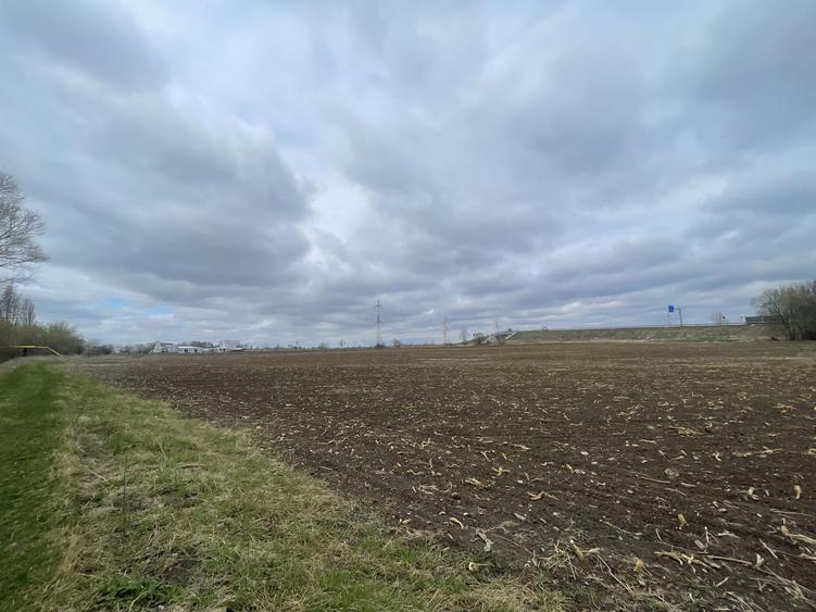TEREN INTRAVILAN | 50 ARI | ZONA PERIFERICA RADAUTI