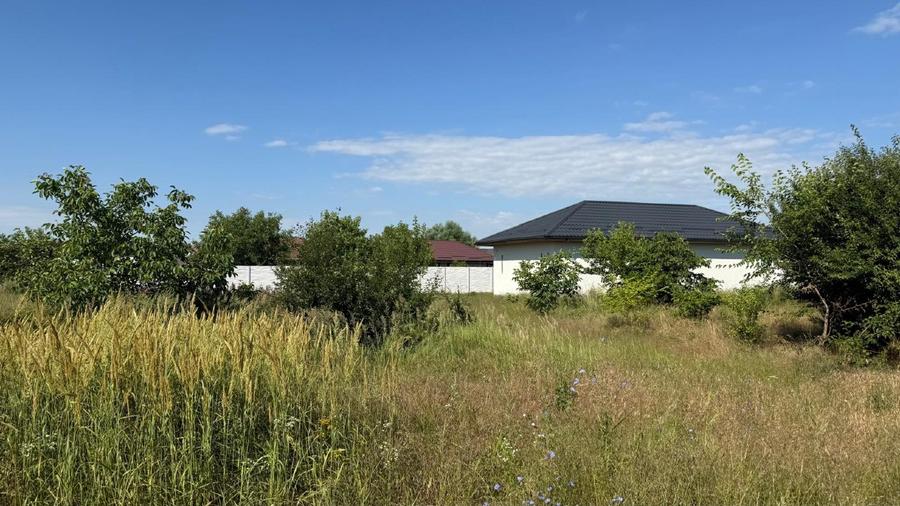 Vand lot de 400 mp2 in domnesti