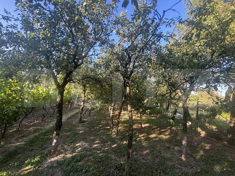 Casă de vânzare, 77 mp, teren 10 ari, zona Viile Satu Mare