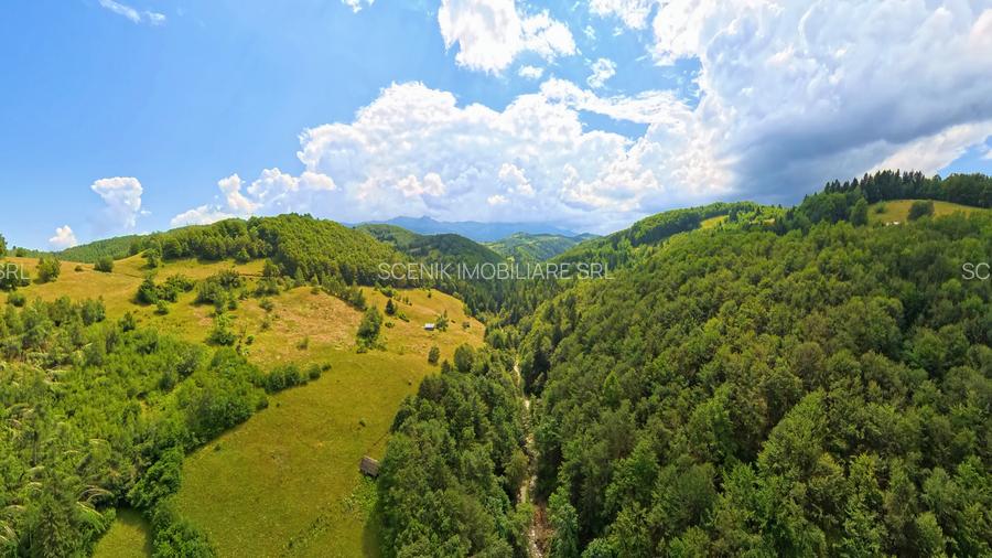 Investitie Smart in Moieciu, 3.1 ha, Panoramă 360 Bucegi - Piatra Craiului - 15