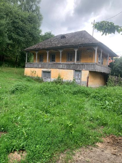 Teren construcție + teren fâneață + livada - 5