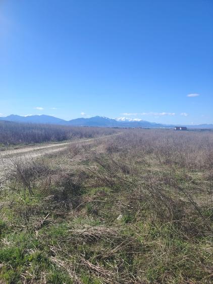 Teren intravilan de vanzare pentru constructie casa