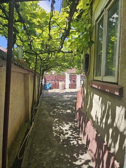 CASA LA SOL - FALEZA NORD - 9