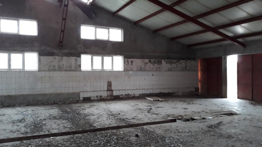 De vanzare Ferma Vaci