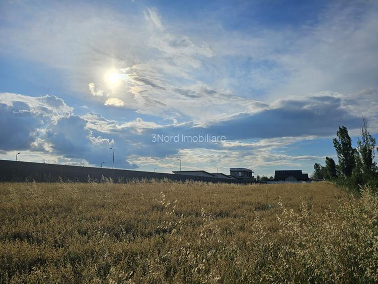 Teren intravilan 3.106 mp,  Izvorani, deschidere 148 ml la str. Complex Olimpic - 4