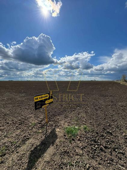Teren extravilan - constructii industriale 5ha | Sag | Frigoglass