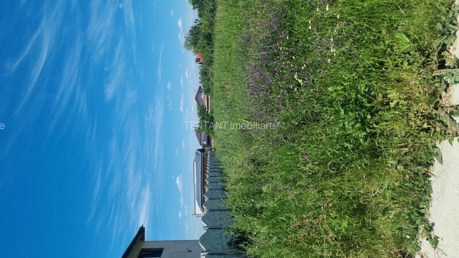 Vanzare Teren construibil 800mp 1 Decembrie Ilfov - 6