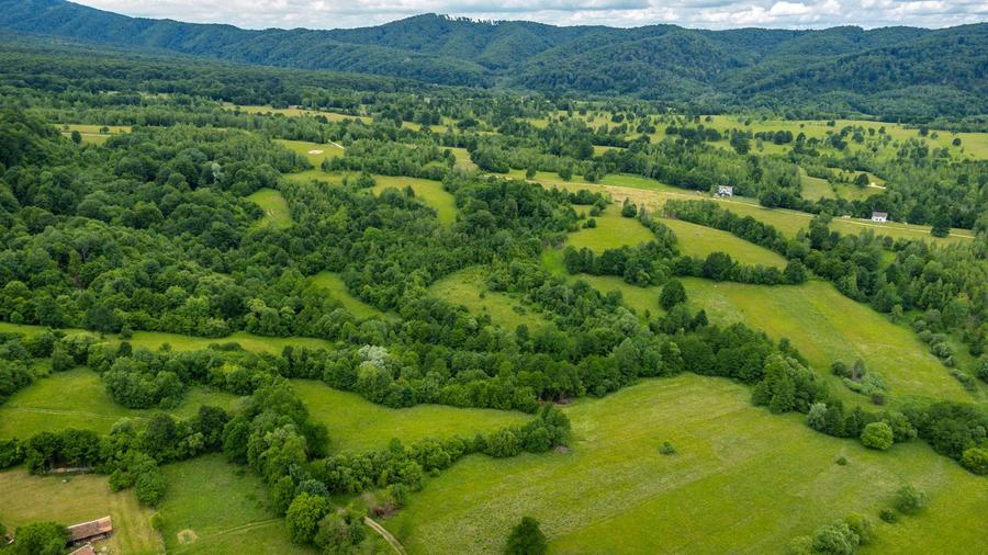 Teren ideal recreere/conectare cu natura/zona Fagaras/achitare in rate