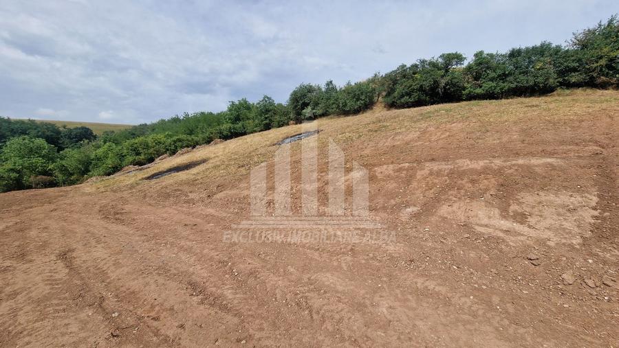 Teren intravilan | 2000 mp | Toate utilitatile | Micesti-Sard