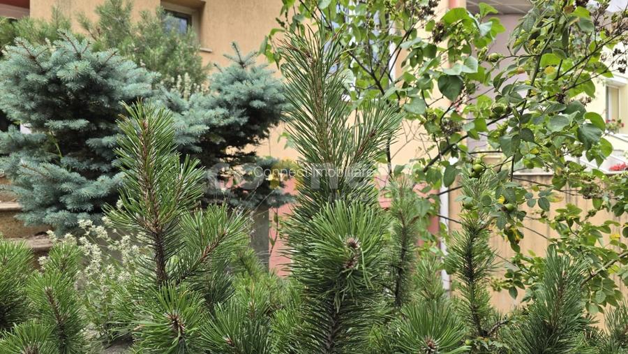 Casă de închiriat – 5 camere | garaj dublu, curte, saună | Buna Ziua - 9