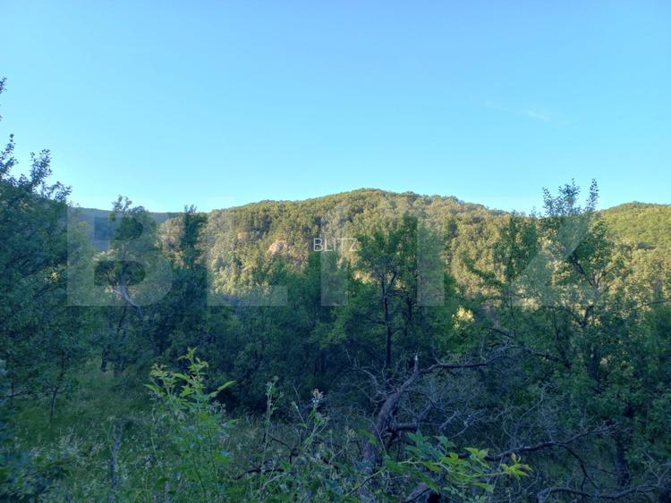 Teren intravilan 4.175 mp în Inuri – ideal cabană/casă de vacanță - 5