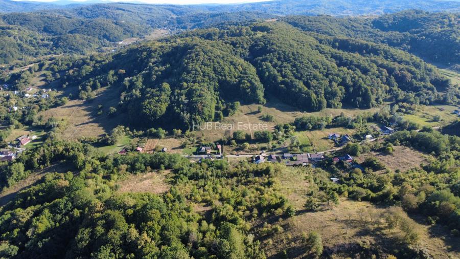 Teren langa padure | domeniu rezidential | actele la zi - de vanzare - 5