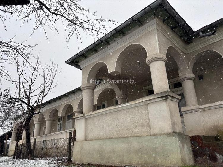 Vand gospodarie taraneasca traditionala - 14