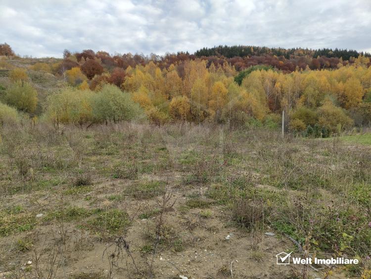 Teren intravilan cu autorizație de construire – Sălicea