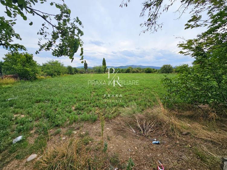 Teren intravilan drept 12.432mp, drum asfalt, utilitati, zona Centura Grigorescu - 2