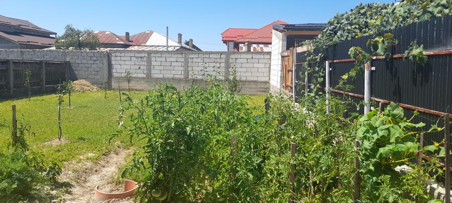 Casa in Persinari - 8