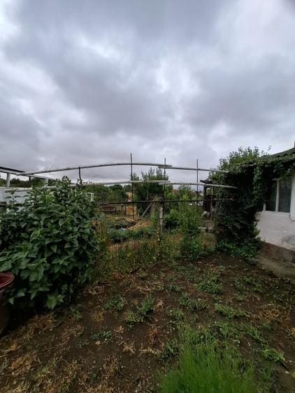 Giarmata Mare - Teren Constructii Case