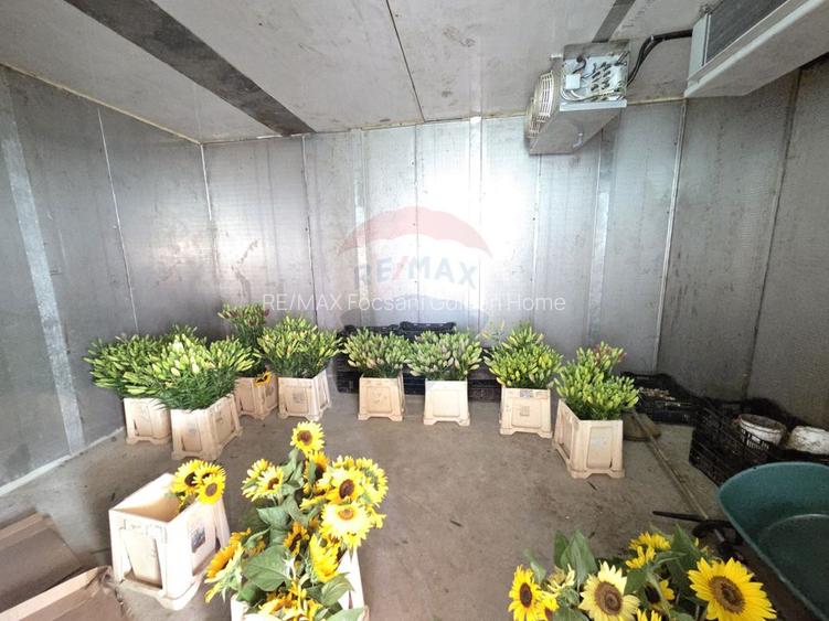 Proprietate 2.229 mp cu Dotări pentru Afacere Florală - 3