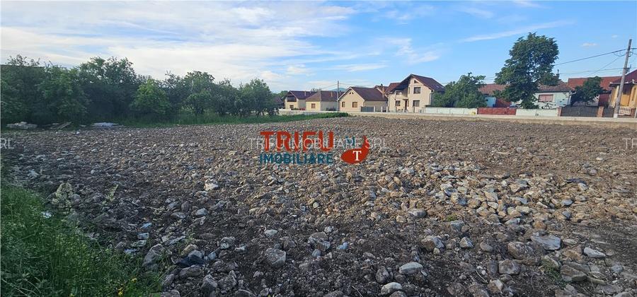 Teren de vanzare parcelabil in Bucerdea Vinoasa - 3