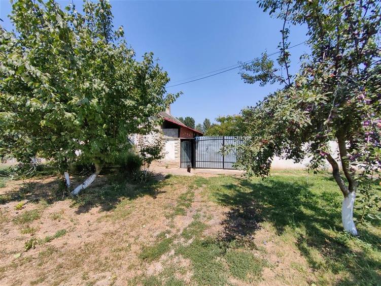Casa cu 2 camere si anexe in Simand cu teren de 1465 mp