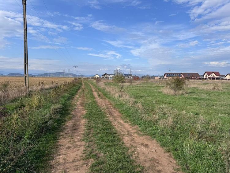 Teren dezvoltare rezidentiala Tarlungeni - zona Izvor
