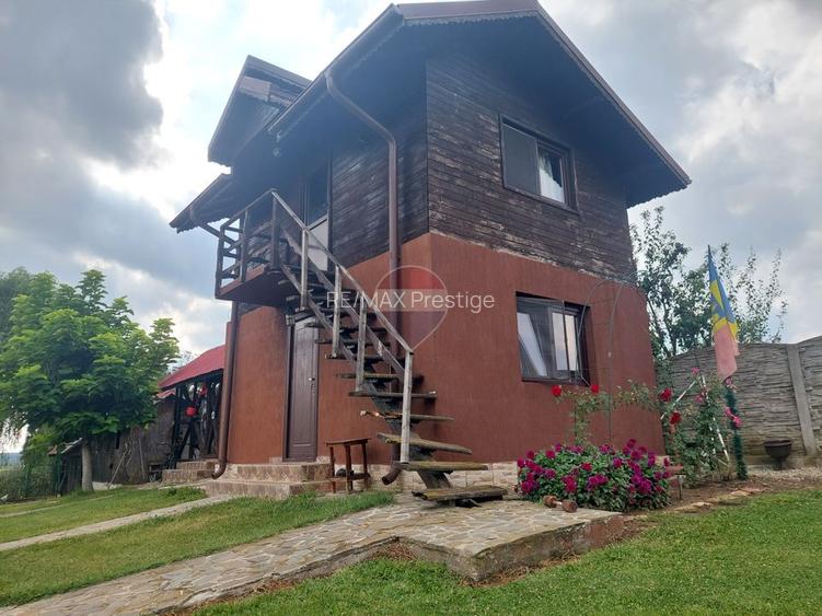 Vanzare - vilă cu 6 camere, teren 3900 mp, Vacaresti, Dambovita