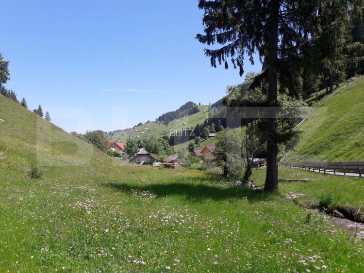 Teren si casa de vanzare in Moieciu de Sus, Brașov – teren 4.890 mp - 2