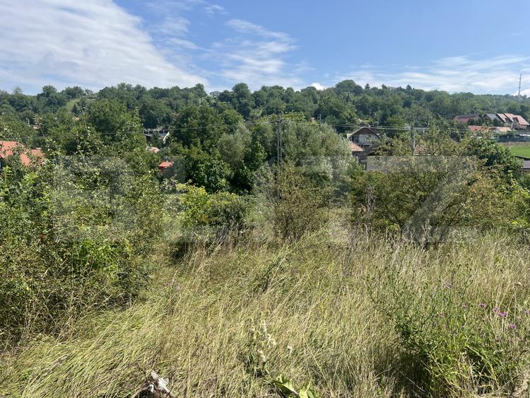 Teren 1400 mp, intravilan – Viile Dealul Mic, zonă liniștită
