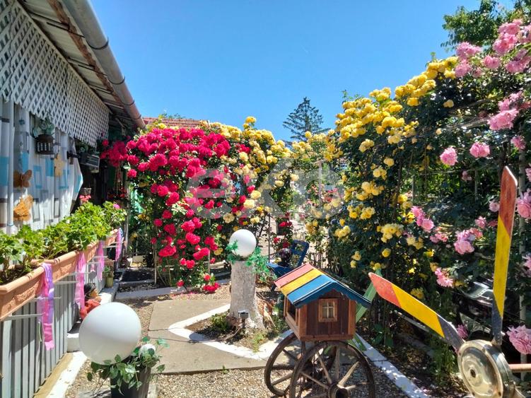 Casă spațioasă cu livadă în Buziaș