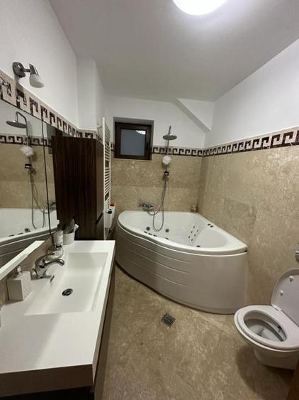 Pantelimon-Cernica, vila cu 6 camere de vanzare, 284 mp construiti
