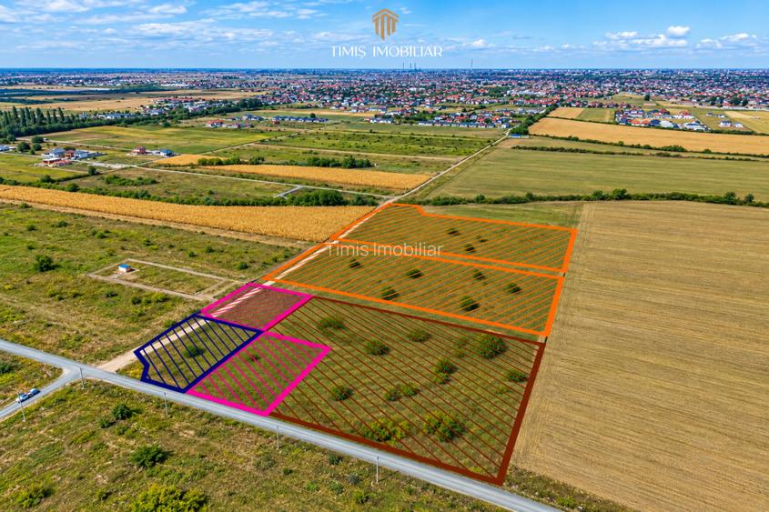 Terenuri 620–767 mp, CF individual – Moșnița Nouă | 0% comision