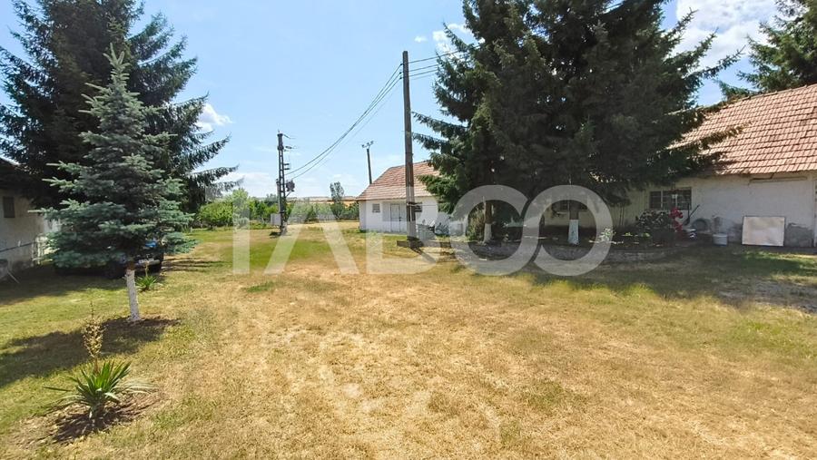 Platforma industriala cu cladiri de vanzare in Salistea de Alba
