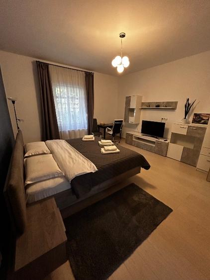 Casa individuală cu acces prin curte comuna