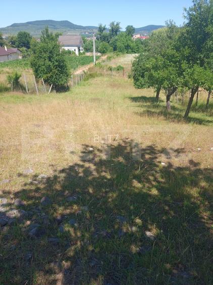 2000 MP TEREN INTRAVILAN IN ZONA VALEA GHINZII - 6