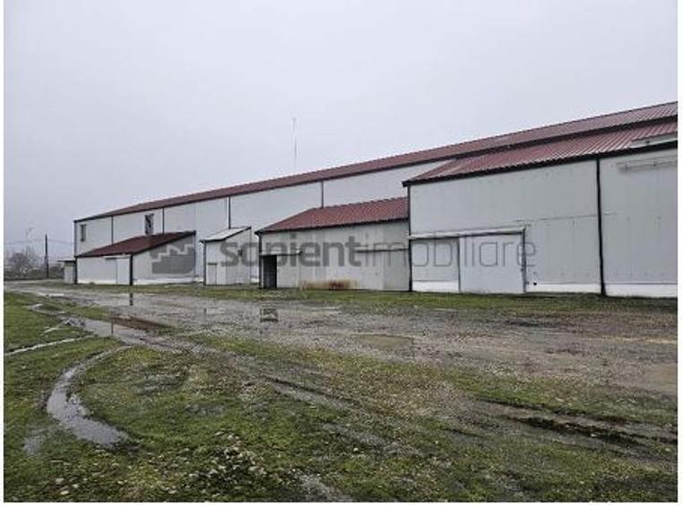 Proprietate industrială  Platformă logistică de vânzare în Tinca
