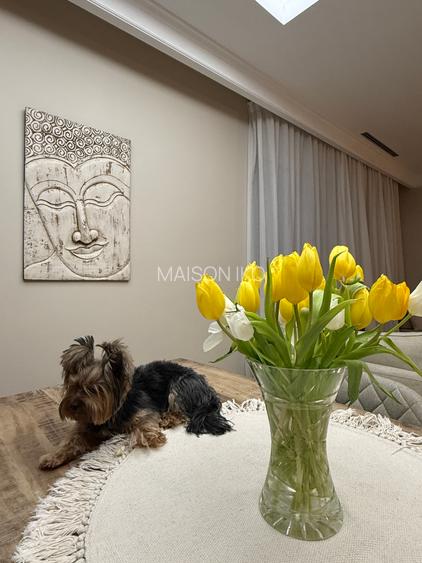Penthouse exclusivist vedere parc Herastrau - 22