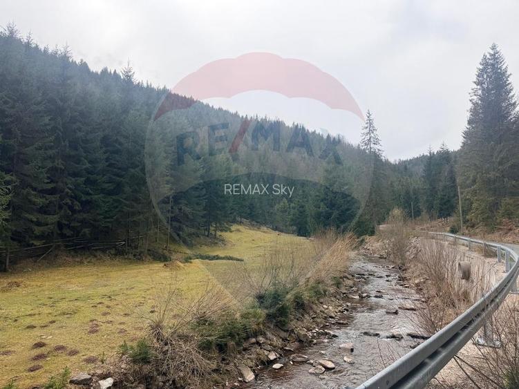 Teren intravilan 4331mp | Arieșeni | Oportunitate de Investiție - 12