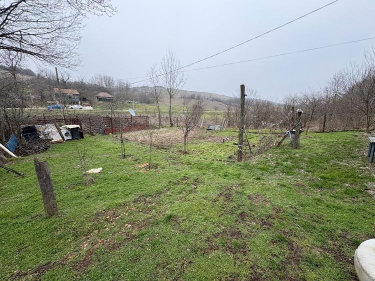 Teren 2.038 mp + Casă 50 mp de vânzare – Sat Luncsoru, Com. Ghercești